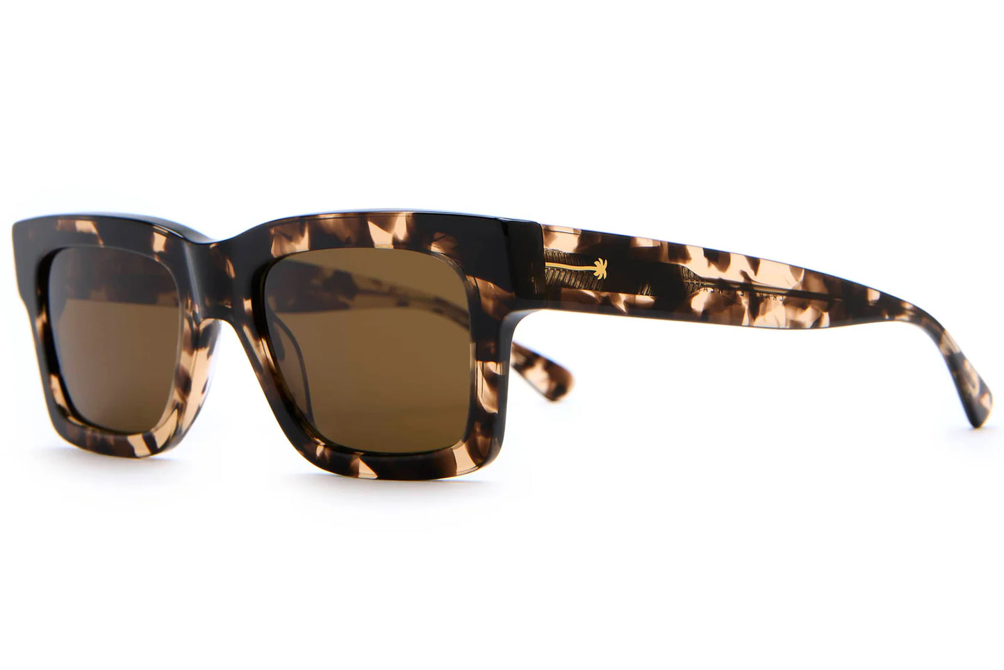 Blake Johnson's The Speedway - Desert Tortoise Bio / Polarized Bronze