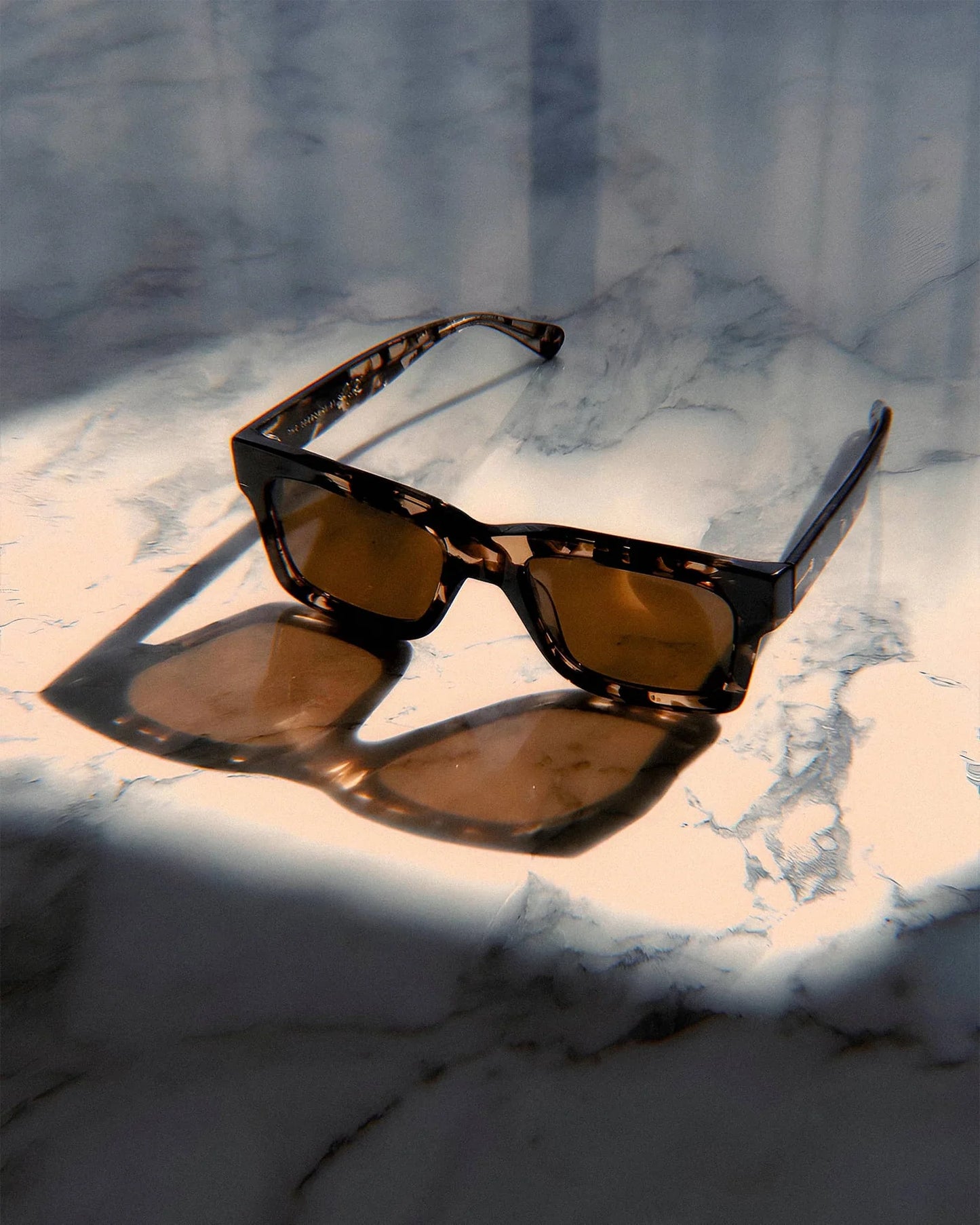 Blake Johnson's The Speedway - Desert Tortoise Bio / Polarized Bronze