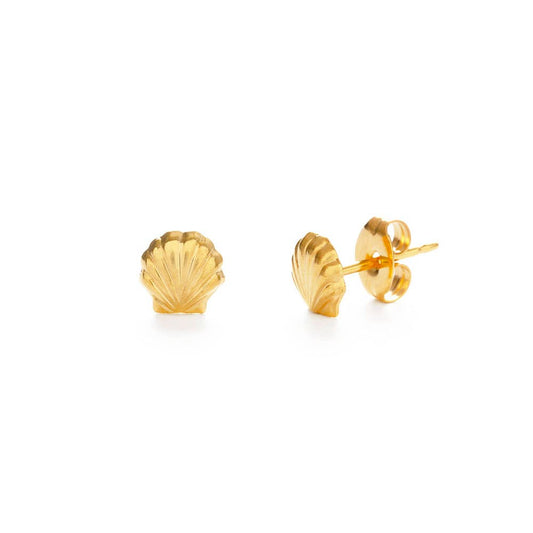 Tiny Shell Stud Earrings