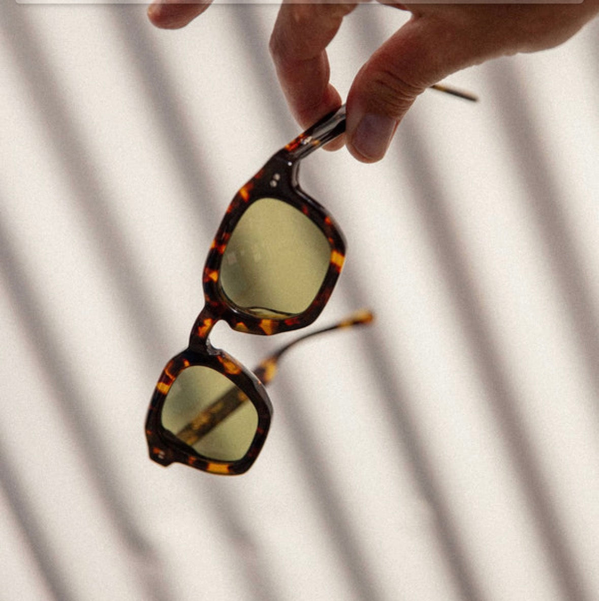 The No Wave - Lunar Tortoise Bio / Polarized Olive